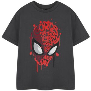 Marvel Short Sleeved T-Shirt (Boys Grey) Marvel Short Sleeved T-Shirt (Boys Grey)