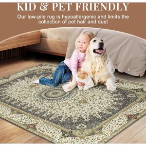 Imperial Rooms (40 x 60 cm (1 ft 3 in x 1 ft 9 in)- Small Door Mat/Bath Mat, Willow Grey) Extra Imperial Rooms (40 x 60 cm (1 ft 3 in x 1 ft 9 in)- Small Door Mat/Bath Mat, Willow Grey) Extra