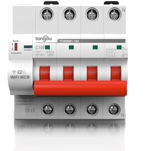 GreenZech (63A) WIFI Circuit Breaker with Overload and Overvoltage Protection Intelligent GreenZech (63A) WIFI Circuit Breaker with Overload and Overvoltage Protection Intelligent
