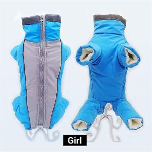 Unbranded (girl blue, S 10) Dog Winter Workwear Warm Waterproof Pet Onesie Male / Female R Unbranded (girl blue, S 10) Dog Winter Workwear Warm Waterproof Pet Onesie Male / Female R