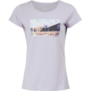 (16 UK, Lilac Frost) Regatta Womens/Ladies Breezed IV Mountain T-Shirt (16 UK, Lilac Frost) Regatta Womens/Ladies Breezed IV Mountain T-Shirt