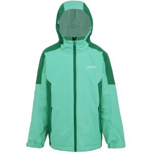 (14 Years, Dusty Green/Rainforest) Regatta Childrens/Kids Hurdle V Waterproof Ja (14 Years, Dusty Green/Rainforest) Regatta Childrens/Kids Hurdle V Waterproof Ja