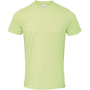 (M, Pistachio) Gildan Mens SoftStyle Ringspun T-Shirt (M, Pistachio) Gildan Mens SoftStyle Ringspun T-Shirt