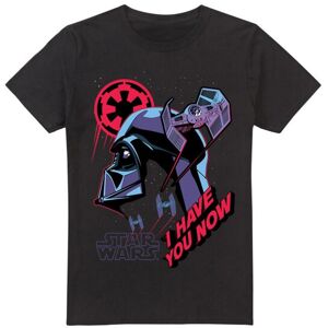 (M, Black) Star Wars Mens I Have You Now T-Shirt (M, Black) Star Wars Mens I Have You Now T-Shirt