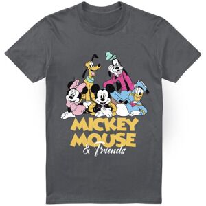 (S, Charcoal) Disney Mens Mickey Mouse Friends T-Shirt (S, Charcoal) Disney Mens Mickey Mouse Friends T-Shirt
