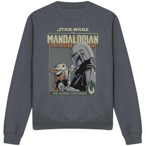 (XL, Charcoal) Star Wars: The Mandalorian Unisex Adult Legend Continues Grogu Sw (XL, Charcoal) Star Wars: The Mandalorian Unisex Adult Legend Continues Grogu Sw
