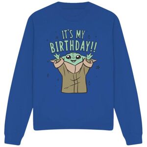 (L, Royal Blue) Star Wars Unisex Adult It's My Birthday Sweatshirt (L, Royal Blue) Star Wars Unisex Adult It's My Birthday Sweatshirt