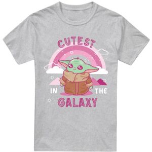 (L, Sport Heather) Star Wars: The Mandalorian Mens Cutest In The Galaxy Grogu T- (L, Sport Heather) Star Wars: The Mandalorian Mens Cutest In The Galaxy Grogu T-