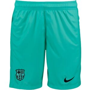 Nike (L) 2023-2024 Barcelona Third Shorts (Aqua) Nike (L) 2023-2024 Barcelona Third Shorts (Aqua)