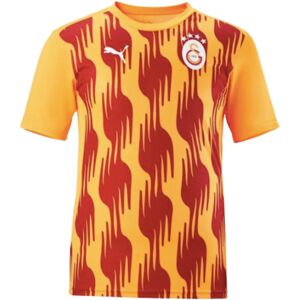 Puma (XL) 2024-2025 Galatasaray Pre-Match Shirt (Orange) Puma (XL) 2024-2025 Galatasaray Pre-Match Shirt (Orange)