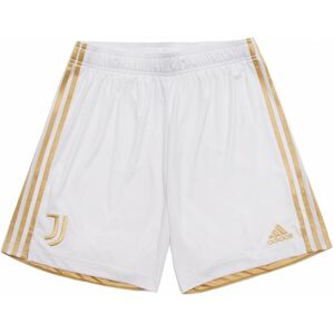 (SB) 2020-2021 Juventus Adidas Home Shorts (Kids) (SB) 2020-2021 Juventus Adidas Home Shorts (Kids)