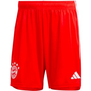 adidas (XL) 2023-2024 Bayern Munich Home Shorts (Red) adidas (XL) 2023-2024 Bayern Munich Home Shorts (Red)