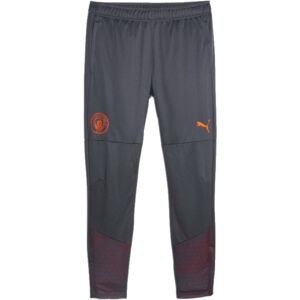 Puma (L) 2023-2024 Man City Training Pants (Strong Grey) Puma (L) 2023-2024 Man City Training Pants (Strong Grey)