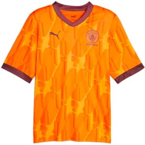 Puma Manchester City 2023-2024 Orange XXL Jersey Puma Manchester City 2023-2024 Orange XXL Jersey