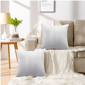 Imperial Rooms (Pack of 2, Embossed Velvet Filled Cushion Silver) Velvet Cushions Filled 2 & 4- Imperial Rooms (Pack of 2, Embossed Velvet Filled Cushion Silver) Velvet Cushions Filled 2 & 4-