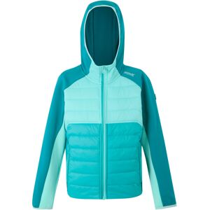 (13 Years, Turquoise/Aruba Blue/Exotic Plume) Regatta Childrens/Kids Kielder IX (13 Years, Turquoise/Aruba Blue/Exotic Plume) Regatta Childrens/Kids Kielder IX