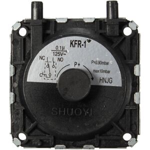 GreenZech High Exhaust Gas Water Heater Repair Parts Air Pressure Switch Accessory GreenZech High Exhaust Gas Water Heater Repair Parts Air Pressure Switch Accessory