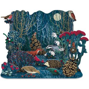 Carousel Home Winters Tale 3D Pop & Slot Christmas Advent Calendar Pop-up Advent Calendar Fr Carousel Home Winters Tale 3D Pop & Slot Christmas Advent Calendar Pop-up Advent Calendar Fr