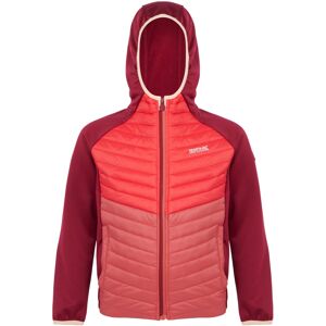 Regatta Kids Kielder VIII Hybrid Jacket - Rumba Red/Red Sky - Size: 5-6 Years Regatta Kids Kielder VIII Hybrid Jacket - Rumba Red/Red Sky - Size: 5-6 Years