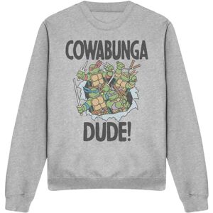 (XL, Sport Heather) Teenage Mutant Ninja Turtles Unisex Adult Cowabunga Dude Swe (XL, Sport Heather) Teenage Mutant Ninja Turtles Unisex Adult Cowabunga Dude Swe