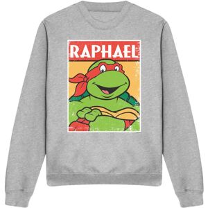(L, Sport Heather) Teenage Mutant Ninja Turtles Unisex Adult Raphael Sweatshirt (L, Sport Heather) Teenage Mutant Ninja Turtles Unisex Adult Raphael Sweatshirt
