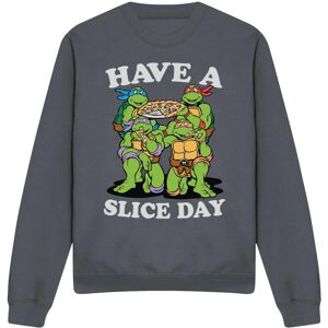 (M, Charcoal) Teenage Mutant Ninja Turtles Unisex Adult Have A Slice Day Sweatsh (M, Charcoal) Teenage Mutant Ninja Turtles Unisex Adult Have A Slice Day Sweatsh