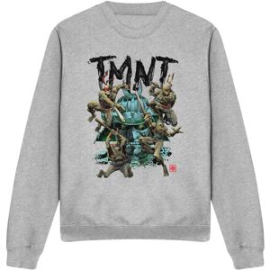 (L, Sport Heather) Teenage Mutant Ninja Turtles Unisex Adult Feudal Japan Sweats (L, Sport Heather) Teenage Mutant Ninja Turtles Unisex Adult Feudal Japan Sweats