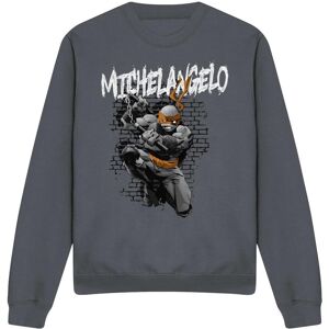 (XXL, Charcoal) Teenage Mutant Ninja Turtles Unisex Adult Michelangelo Sweatshir (XXL, Charcoal) Teenage Mutant Ninja Turtles Unisex Adult Michelangelo Sweatshir