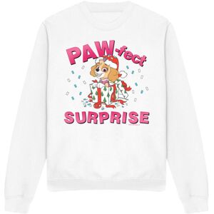 (S, White) Paw Patrol Unisex Adult The Paw-Fect Christmas Gift Skye Sweatshirt (S, White) Paw Patrol Unisex Adult The Paw-Fect Christmas Gift Skye Sweatshirt