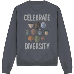 (XL, Charcoal) Star Trek Unisex Adult The Celebrate Diversity Sweatshirt (XL, Charcoal) Star Trek Unisex Adult The Celebrate Diversity Sweatshirt