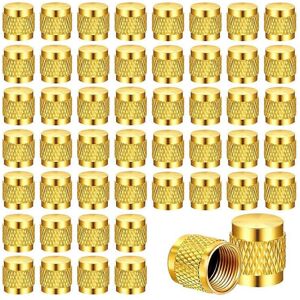 Unbranded 50 Pcs 1/4Inch Brass Flare Cap, Solid Brass Caps with Neoprene O Ring Seal, 1/4I Unbranded 50 Pcs 1/4Inch Brass Flare Cap, Solid Brass Caps with Neoprene O Ring Seal, 1/4I