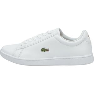 Lacoste Women's Hydez Sneaker White/Gold 7 Lacoste Women's Hydez Sneaker White/Gold 7