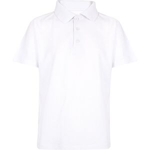 a2zkids (15-16 Years, White) Kids Boys T Shirts Summer Soft Plain Polo a2zkids (15-16 Years, White) Kids Boys T Shirts Summer Soft Plain Polo