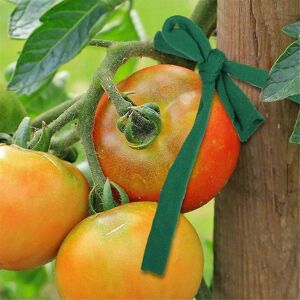 Unbranded Extendable garden twine for plants, trees and support, 4 rolls of 30m - Practica Unbranded Extendable garden twine for plants, trees and support, 4 rolls of 30m - Practica