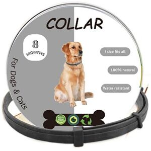 Unbranded (Dog Black) 8 Month Protection Flea and Tick Collar Anti-mosquitoes Pet Supplies Unbranded (Dog Black) 8 Month Protection Flea and Tick Collar Anti-mosquitoes Pet Supplies