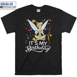 Gildan (XXL) Tinker Bell It's My Birthday T-shirt Gildan (XXL) Tinker Bell It's My Birthday T-shirt