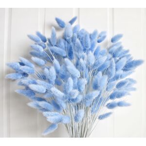 CKBT 120 PCS Blue Dried Pampas Grass Decor 17-inch Pompas Floral Dry Flowers for De CKBT 120 PCS Blue Dried Pampas Grass Decor 17-inch Pompas Floral Dry Flowers for De