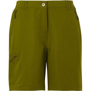 (14 UK, Nephrite Green) Regatta Womens/Ladies Chaska III Walking Shorts (14 UK, Nephrite Green) Regatta Womens/Ladies Chaska III Walking Shorts