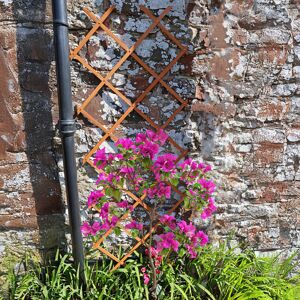 Actiasgear - Expandable Garden Wooden Trellis Fence Divider 5ft 3pcs Actiasgear - Expandable Garden Wooden Trellis Fence Divider 5ft 3pcs