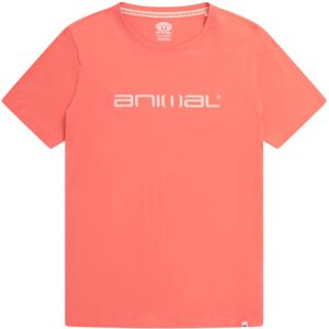 (6 UK, Coral) Animal Womens/Ladies Leena Organic Cotton Boxy T-Shirt (6 UK, Coral) Animal Womens/Ladies Leena Organic Cotton Boxy T-Shirt