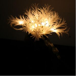 GreenZech (Warm White, EU Standard) Gardening 10M 38LED String Light Seaweed Shape Holiday GreenZech (Warm White, EU Standard) Gardening 10M 38LED String Light Seaweed Shape Holiday