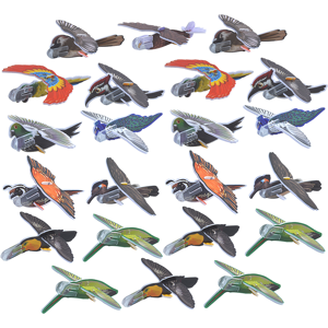 Maxpower (Random Color) 25pcs Gliders Planes Bulk Airplane Gliders Toy for Kids EVA Airpl Maxpower (Random Color) 25pcs Gliders Planes Bulk Airplane Gliders Toy for Kids EVA Airpl