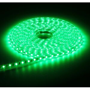 GreenZech (Green) 4M DC12V 19.2W 240 SMD 3528 Non-waterproof Red/Blue/Green/White/Warm Whi GreenZech (Green) 4M DC12V 19.2W 240 SMD 3528 Non-waterproof Red/Blue/Green/White/Warm Whi