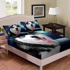 Unbranded (Multi 20, Single(35"x75")(No Comforter)) Boys Skateboard Bedding Decor Set Doub Unbranded (Multi 20, Single(35"x75")(No Comforter)) Boys Skateboard Bedding Decor Set Doub