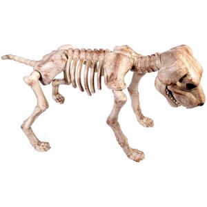 Rubies Forum Novelties Skeleton Dog Decoration Standard Rubies Forum Novelties Skeleton Dog Decoration Standard