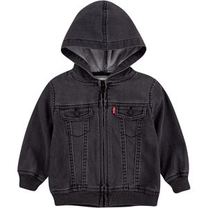 Levi's Boys Hoodie Pebble Grey 24M Levi's Boys Hoodie Pebble Grey 24M