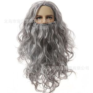 Unbranded (Silver Long Wig) Curly Long Stunning Wizard Wig For Halloween And Christmas Cos Unbranded (Silver Long Wig) Curly Long Stunning Wizard Wig For Halloween And Christmas Cos