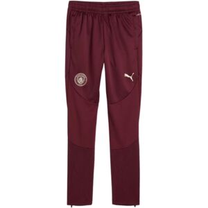 Puma (XLB) 2024-2025 Man City Training Pants (Dark Jasper) - Kids Puma (XLB) 2024-2025 Man City Training Pants (Dark Jasper) - Kids