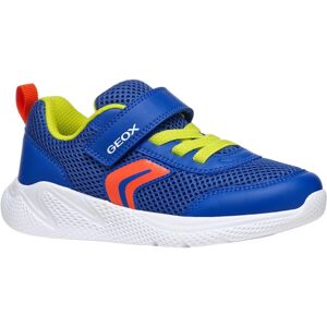 (1.5 UK, Royal Blue/Red) Geox Boys J Sprintye Trainers (1.5 UK, Royal Blue/Red) Geox Boys J Sprintye Trainers