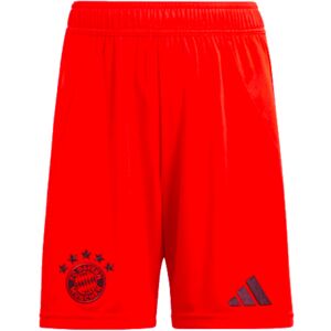 adidas (L) 2024-2025 Bayern Munich Home Shorts (Red) adidas (L) 2024-2025 Bayern Munich Home Shorts (Red)